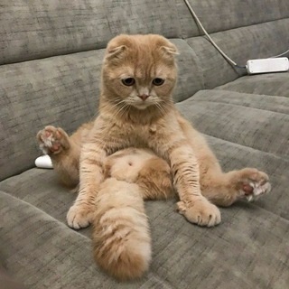 Логотип @vibe_chatttt - Vibe чатик🔥