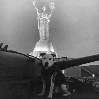 Логотип @vibe_mussik - Музыка для души 🎶