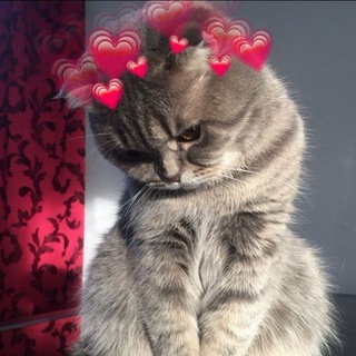 Логотип @vibebox - Хлебобулочные