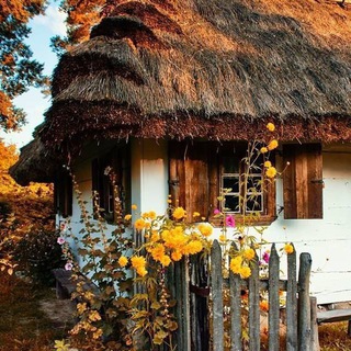 Логотип @vibemusic0015 - VIBEMUSIC