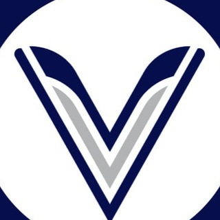 Логотип @vibesvisa - Vibes Visa