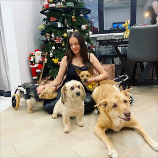 Логотип @victoria_kg - Victoria_kg