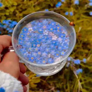 Логотип @vid_sto - Тут смотрят видео 🤌🏻