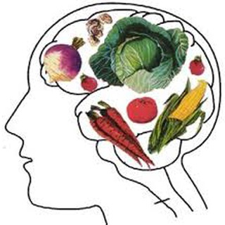 Логотип @vidavegetariana - VIDA VEGETARIANA