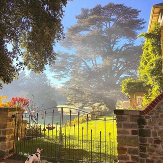 Логотип @videniyaleny - Видения Лены Калашниковой