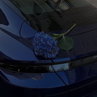 Логотип @video_estetika - ЭСТЕТИКА | КРАСОТА | ВИДЕО