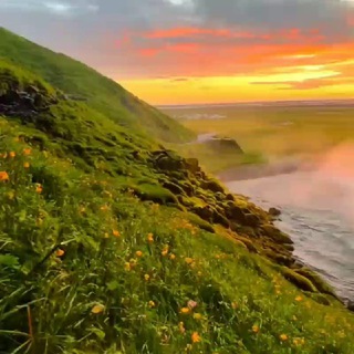 Логотип @video_nature - Nature | Природа | 🌿🏔️🏞️