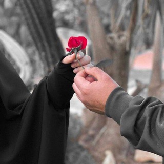 Логотип @video_textom - 🍃 Аᴛʍᴏᴄɸᴇᴩᴀ дᴧя дуɯи 🕊