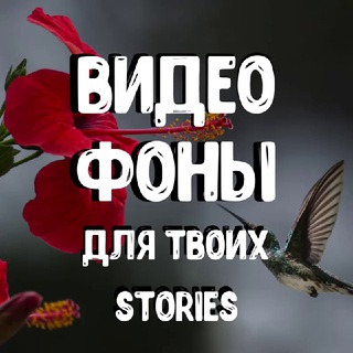 Логотип @videofonydlyastoris - ВидеоФоны для твоих Stories