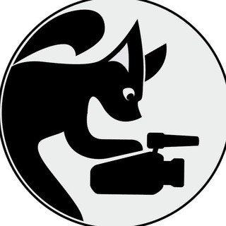 Логотип @videografurs - Videografurs