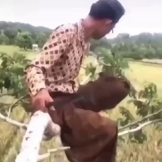 Логотип @videomemes333 - ВИДЕОМЭМЫ