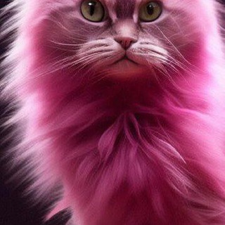 Логотип @videomix93 - Котики Собаки