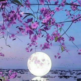 Логотип @videopop123 - ஜீ →Эстетичные видео, картинки←