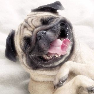 Логотип @videopositivotg - Video_positivo😍