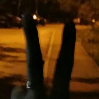 Логотип @videoprikolnn - Видеоприколы😂