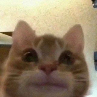 Логотип @videoprikoltopko - Видео Приколы😃🤣