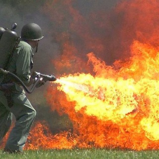 Логотип @videoshutky - Видео-приколы