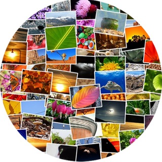 Логотип @videowallp - Video Wallpaper