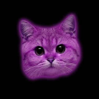 Логотип @vidoosiki - В И Д О С И К И