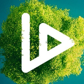 Логотип @vidtoken - VIDT TRUTH MACHINE