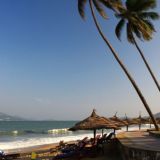 Логотип @vietnam_cha_t - Вьетнам 🇻🇳 Чат | Нячанг | Услуги | Барахолка