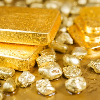 Логотип @vigivut_tolko_krupnie - ВЫЖИВУТ БИГИ