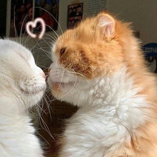 Логотип @viineraley - víneraley | темки и языки