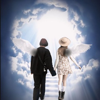 Логотип @vikaivova24 - ʙиᴋᴀ и ʙᴏʙᴀ 🕊