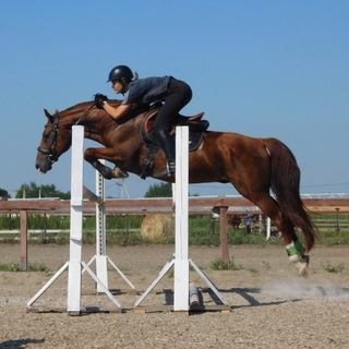 Логотип @viken_horses - Viken_horses