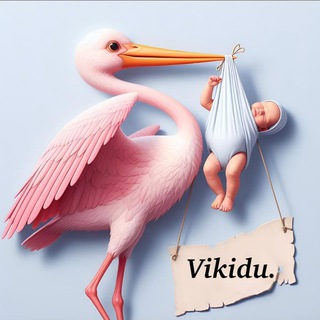 Логотип @vikidu95 - Vikidu
