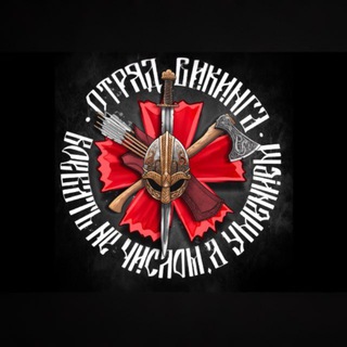 Логотип @viking_spn - ОТРЯД ВИКИНГА