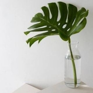 Логотип @vikroyki_dlyarukodelnic - Чат "выкройки пдф"