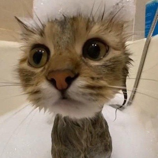 Логотип @viktw - свайпук😂