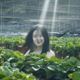 Логотип @vilixshop - ୨୧⋆᥎iᥣi᥊.sɦ᧐ρ⋆୨୧ {🍃}