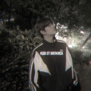 Логотип @vilkisme - идв от вилкиса.