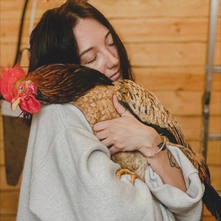 Логотип @village_lifee - Village life — Современная деревня