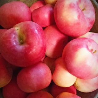 Логотип @village_ru - В деревне