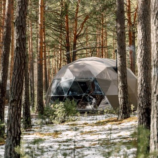 Логотип @villy_uley - Вили Улей 🌿 глэмпинг-отель 🌿 Волга, Ока, Карелия