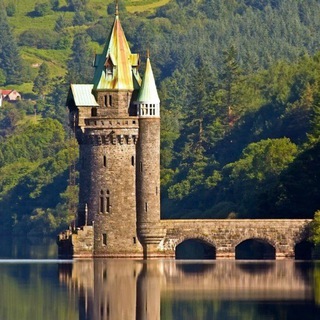 Логотип @vinetower - Винная башня