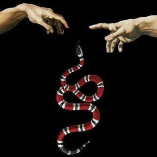 Логотип @vinhik189 - 🍃black is style🍃