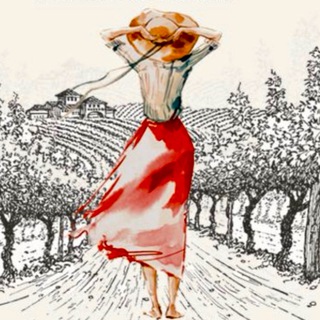 Логотип @vino_i_co - Вино и Ко