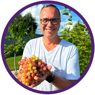 Логотип @vinogradusik - ВиноградУс 🍇