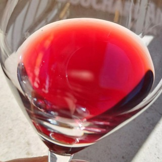 Логотип @vinoizo - WINE_CAT