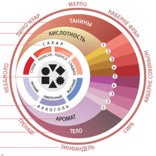 Логотип @vinomanya - Виномания®