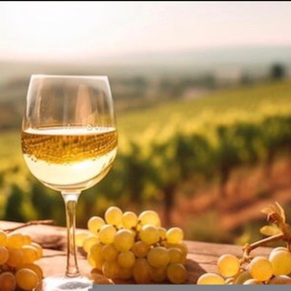 Логотип @vinootangela - Домашнее Вино