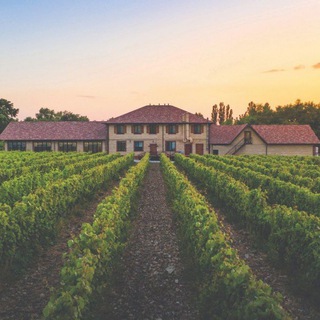 Логотип @vinoterria - Винотеррия/Nesterov winery