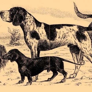 Логотип @vintagedogs - Собаки в прошлом