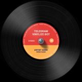 Логотип @vinylizebot - Винилизатор 💿