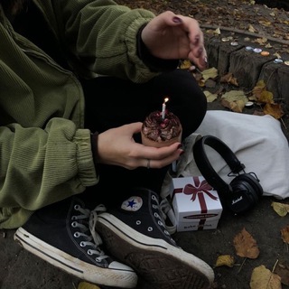 Логотип @vinylplastinka - ⋆⁺｡ сосновый лес ˚⋆˙