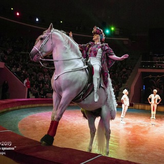 Логотип @violetta_serg - Большая Цирковая Конная Семья